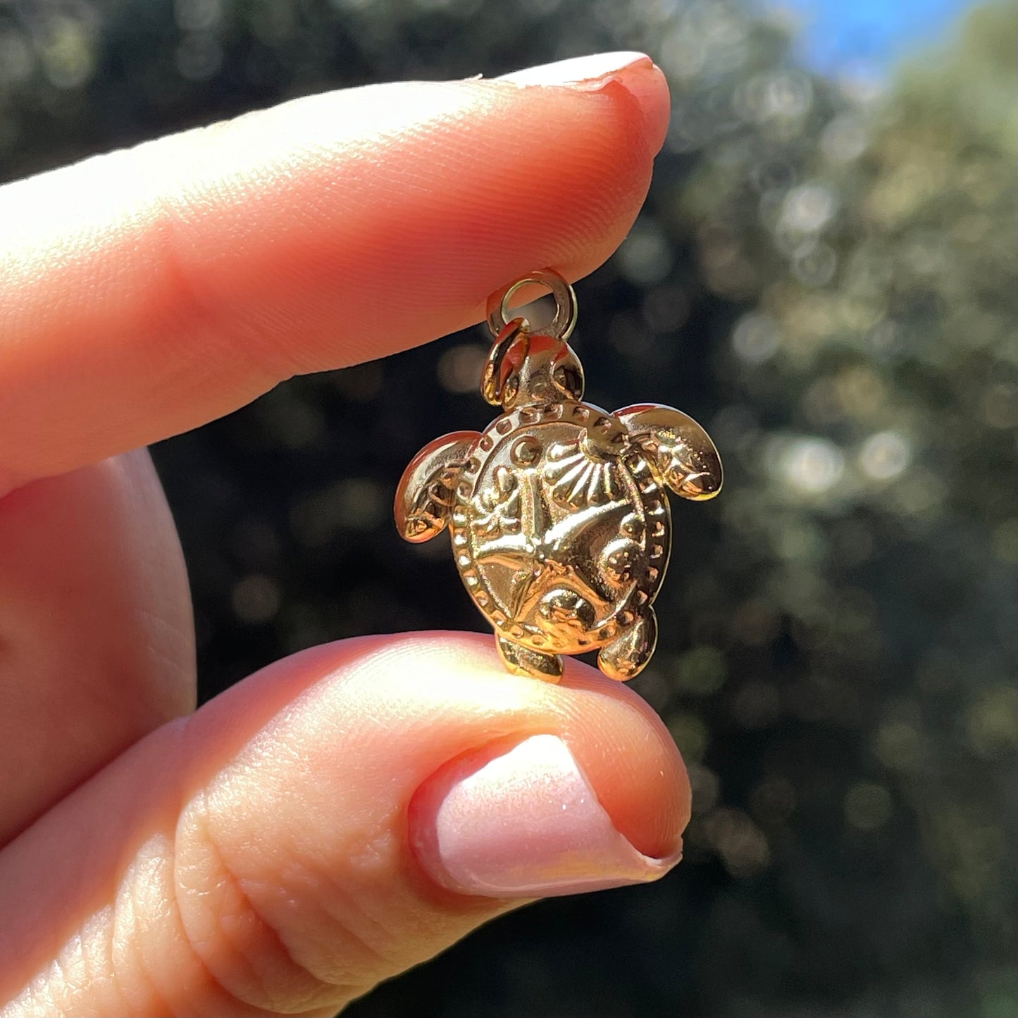 Charm Tartaruga