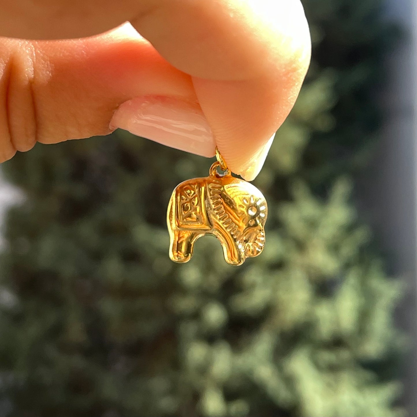 Charm elefante thai