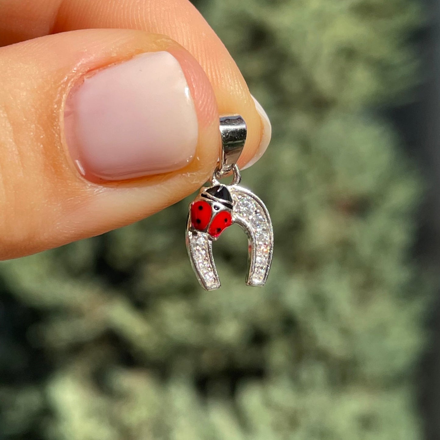 Charm Ferro di cavallo e coccinella con zirconi