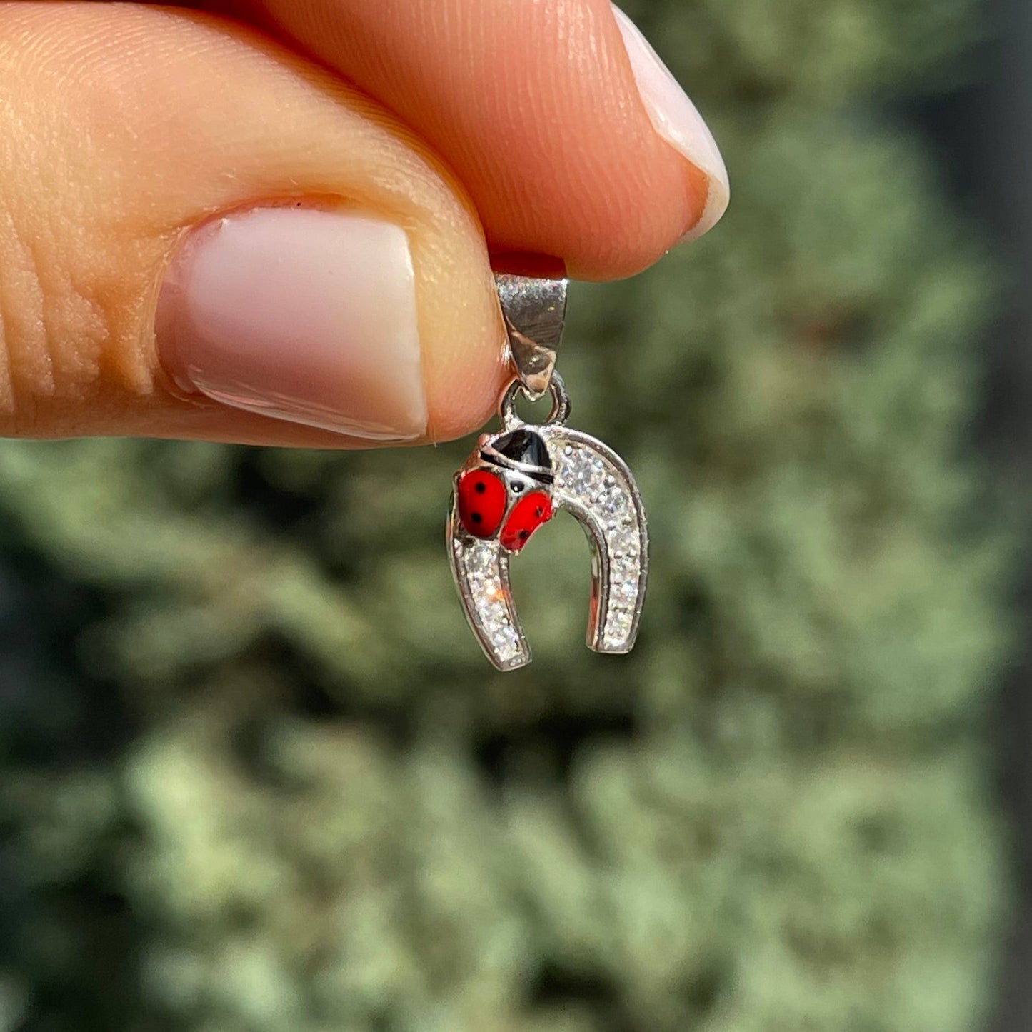 Charm Ferro di cavallo e coccinella con zirconi