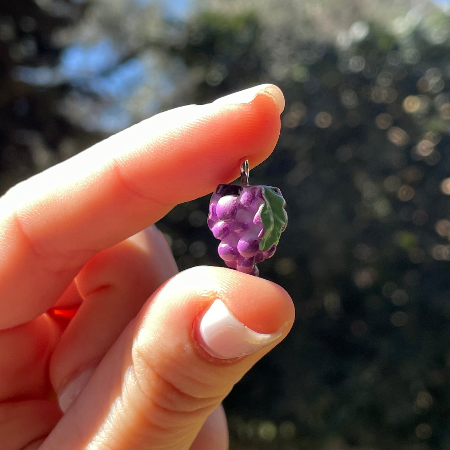 Charm Uva