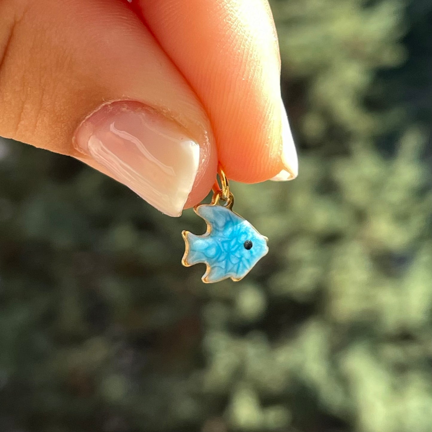Charm pesciolino tropicale blu