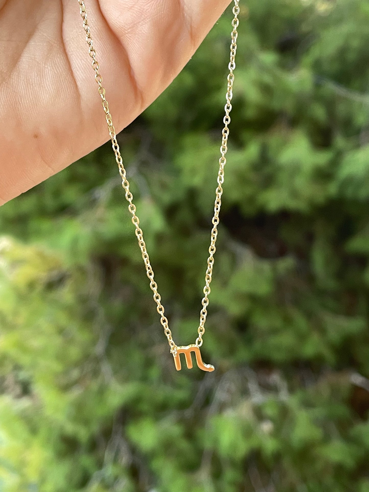 Collana con segno zodiacale in 2 colori