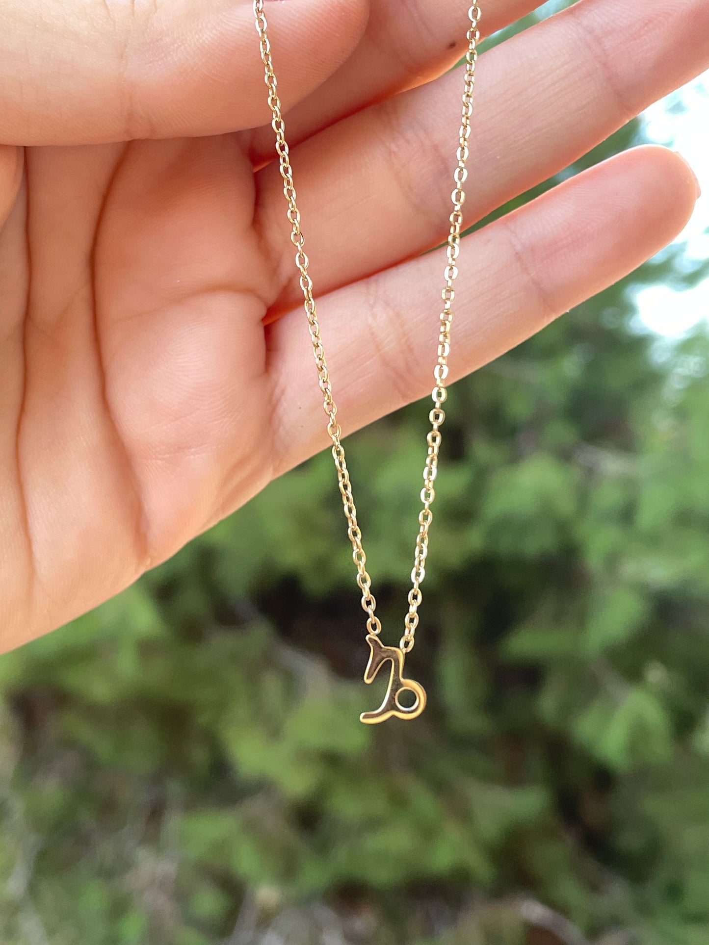 Collana con segno zodiacale in 2 colori