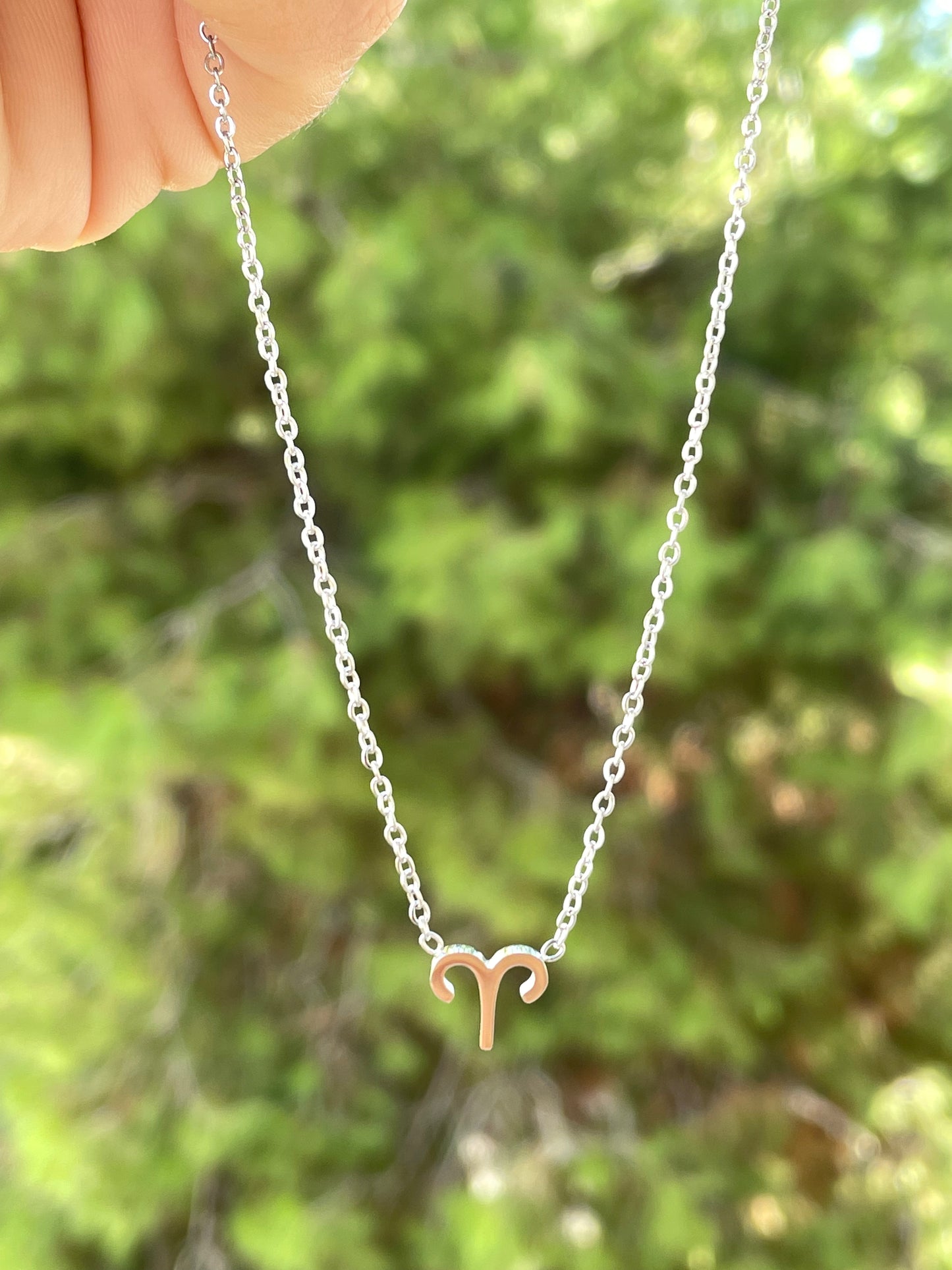 Collana con segno zodiacale in 2 colori