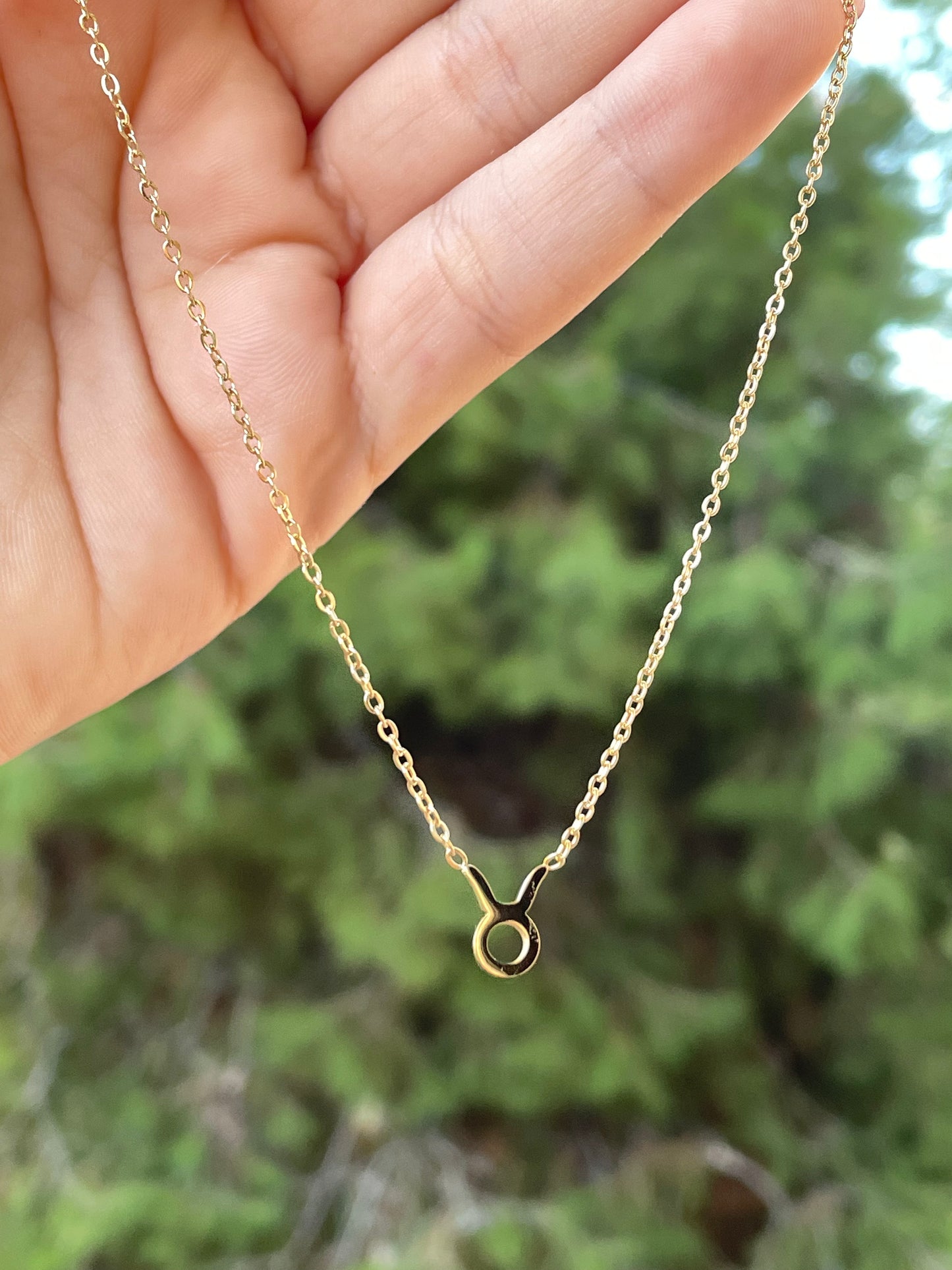 Collana con segno zodiacale in 2 colori
