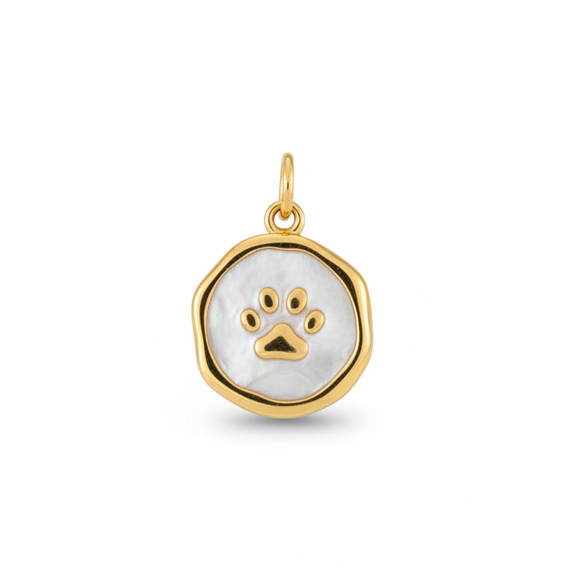 Charm zampetta