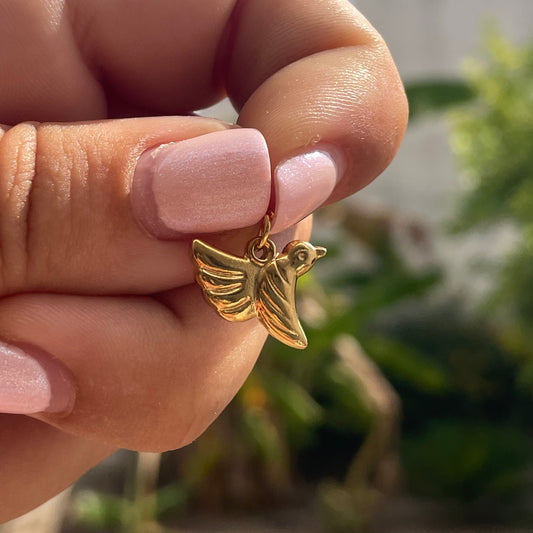 Charm colibrì