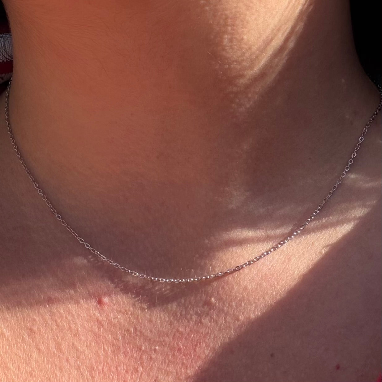 Collana catenina semplice in 2 colori