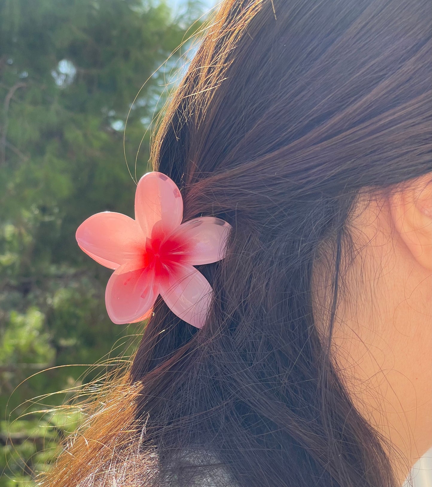 Fermaglio Hawaii