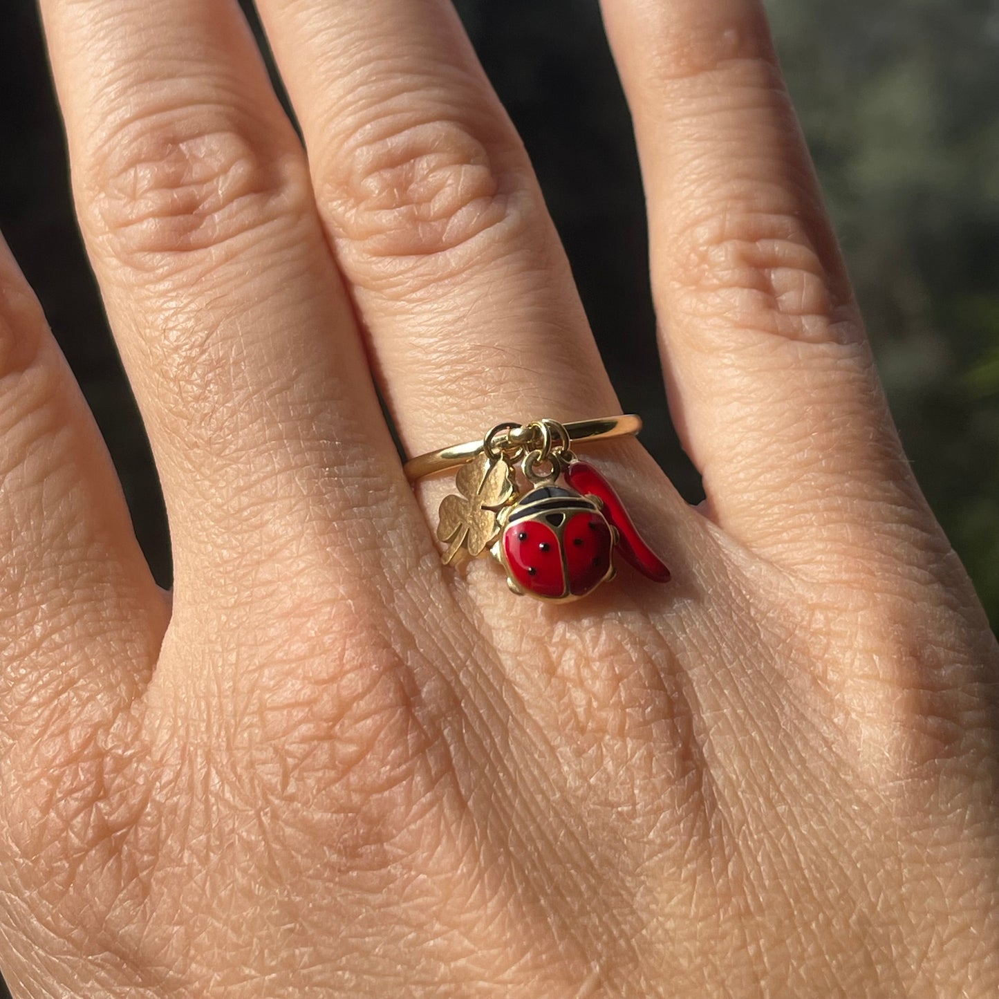 Anello coccinella, corno e quadrifoglio portafortuna in 2 colori