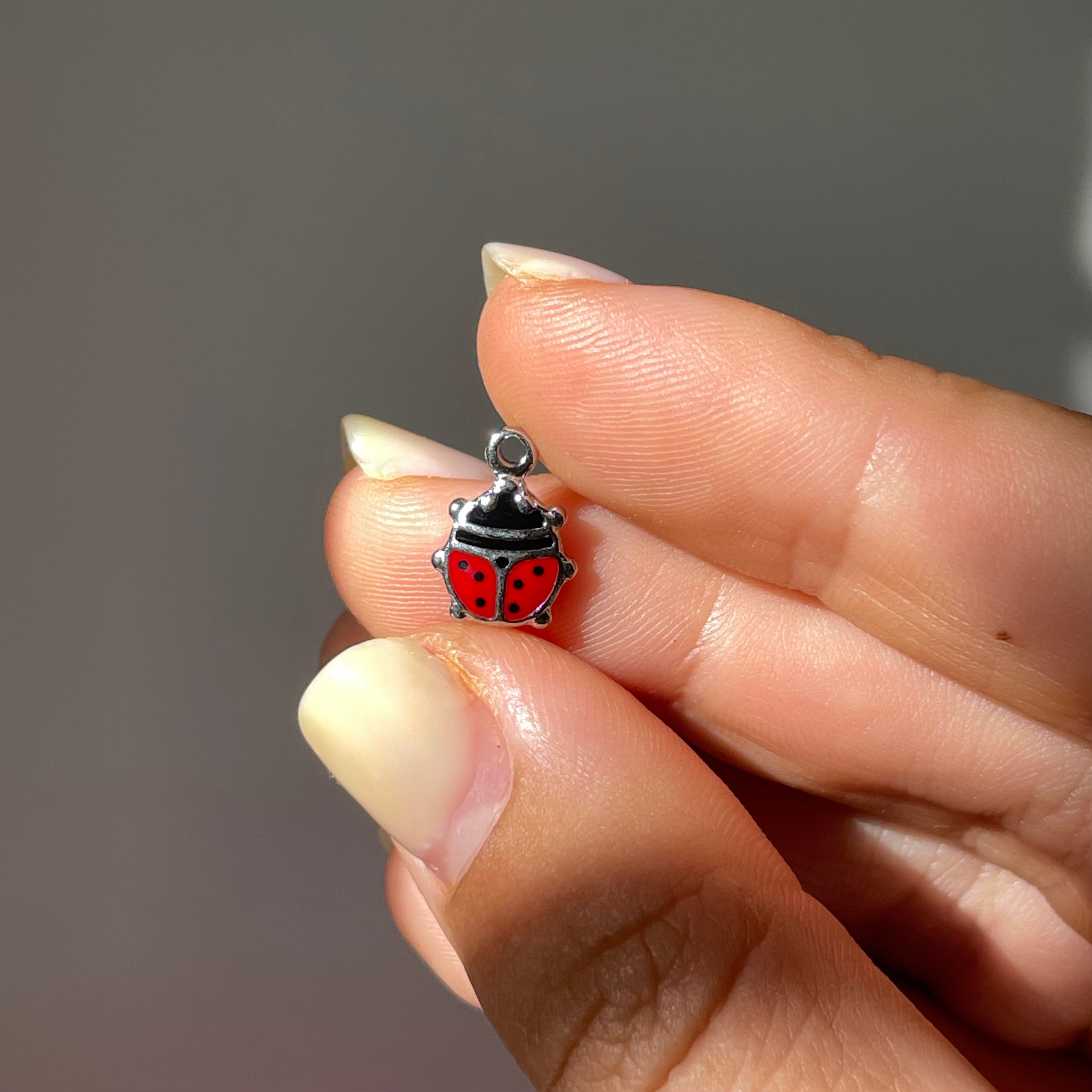 Charm coccinella in 2 colori