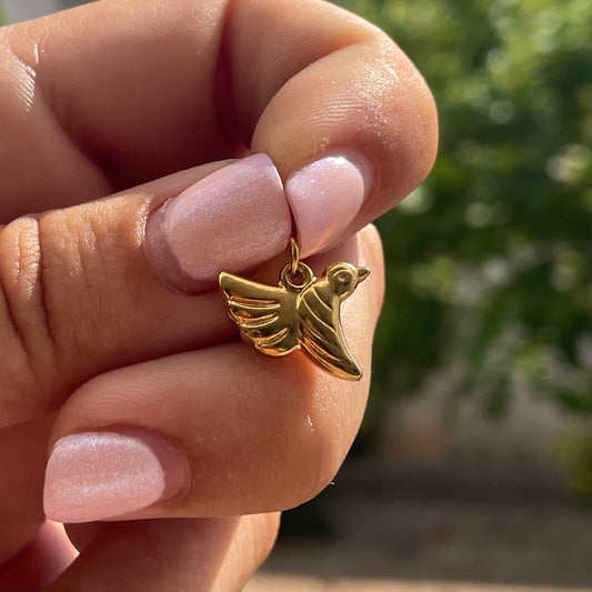 Charm colibrì