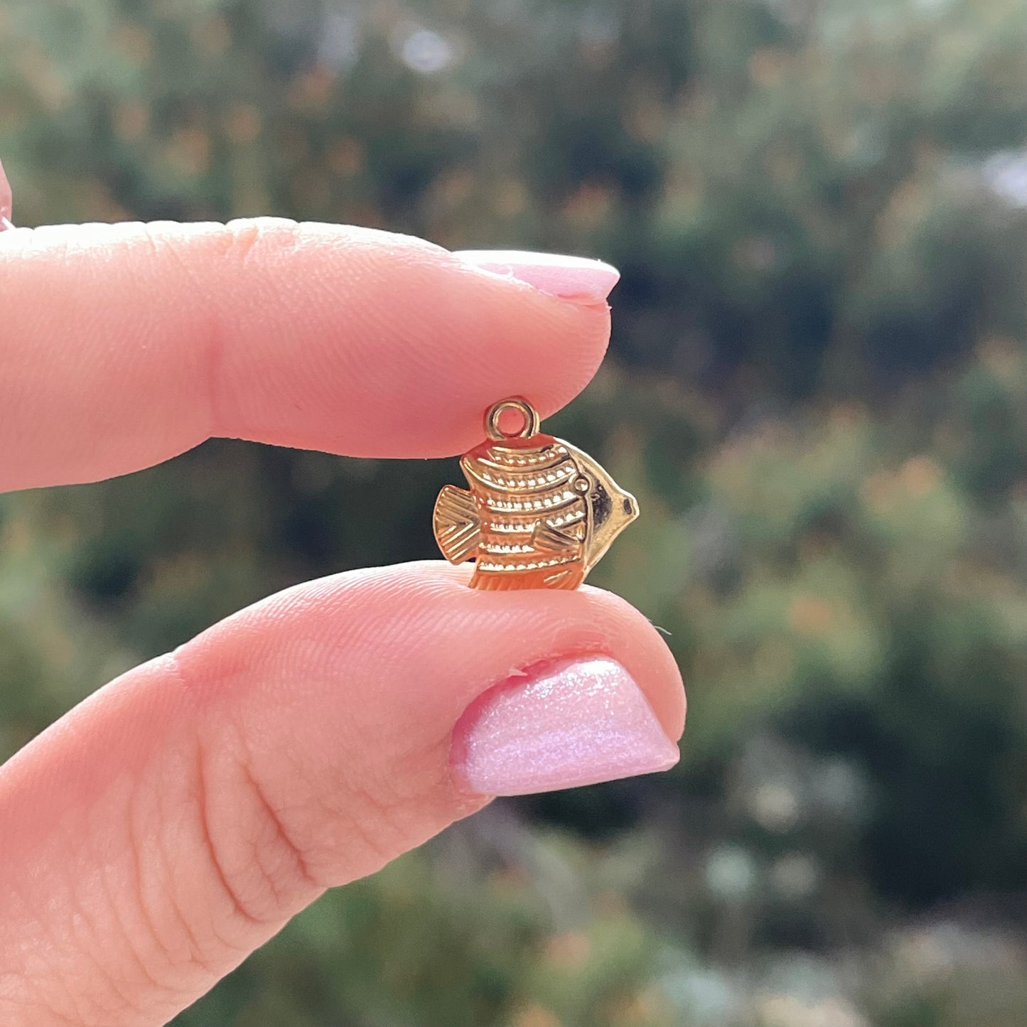Charm Pesce tropicale