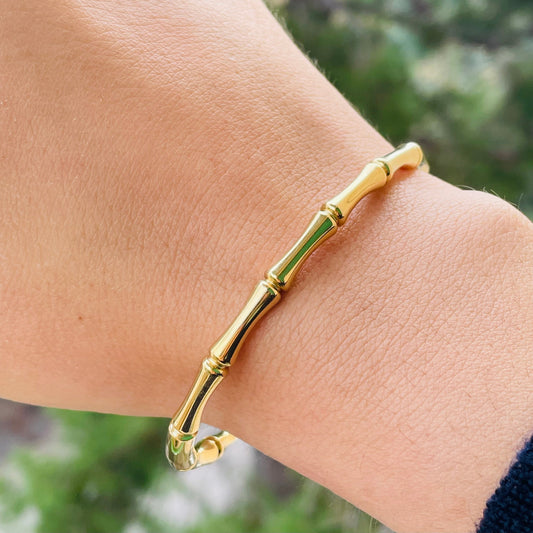 Bracciale rigido in 2 colori