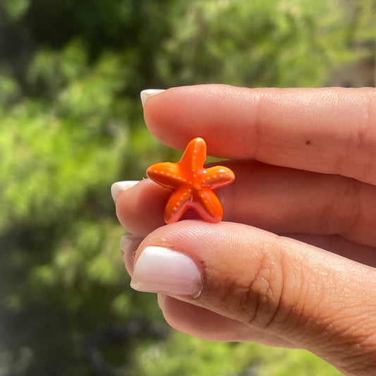 Charm Stellina marina in 17 colori