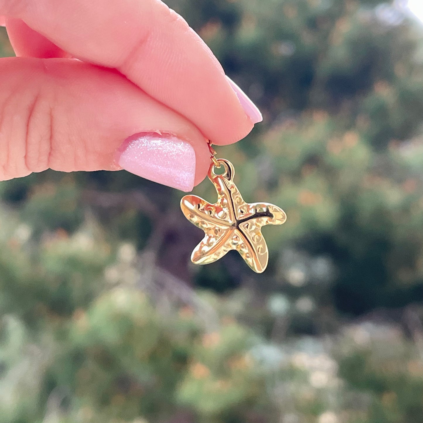 Charm Stella Marina