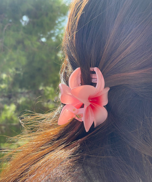 Fermaglio Hawaii