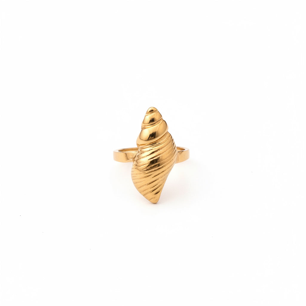 Anello Big Shell