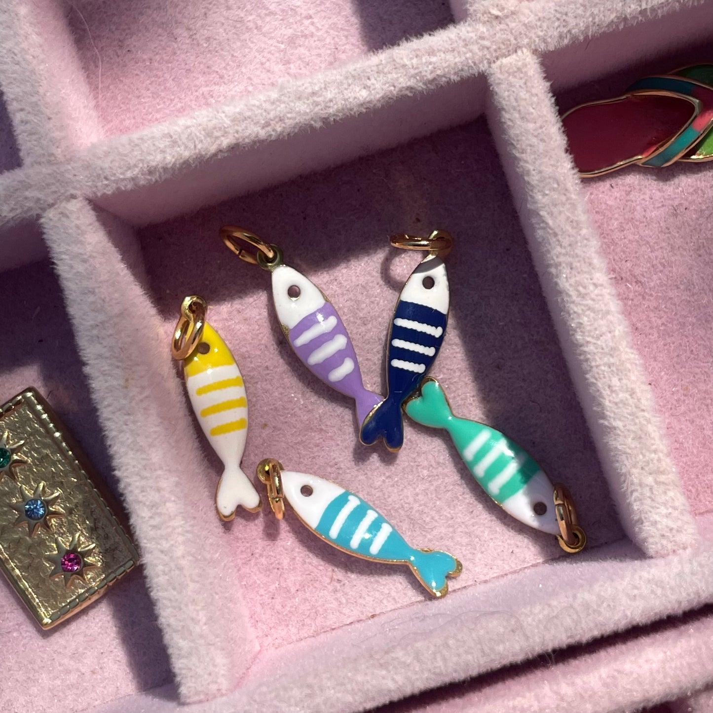 Charm pesce a righe in 8 colori