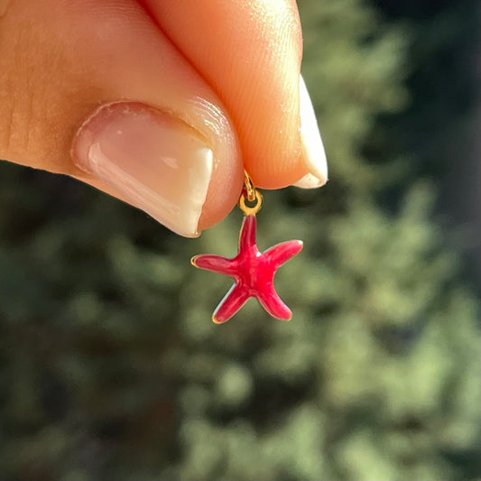 Charm Stella marina rossa