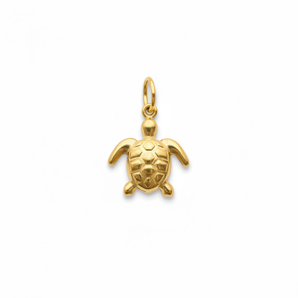Charm Turtle