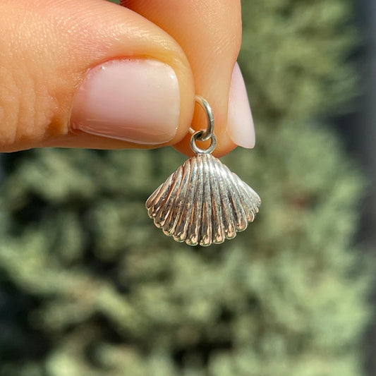 Charm Conchiglia