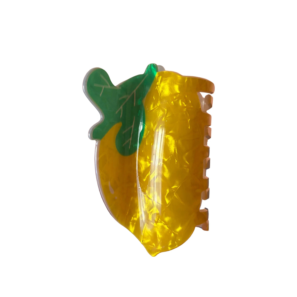 Fermaglio fruttini