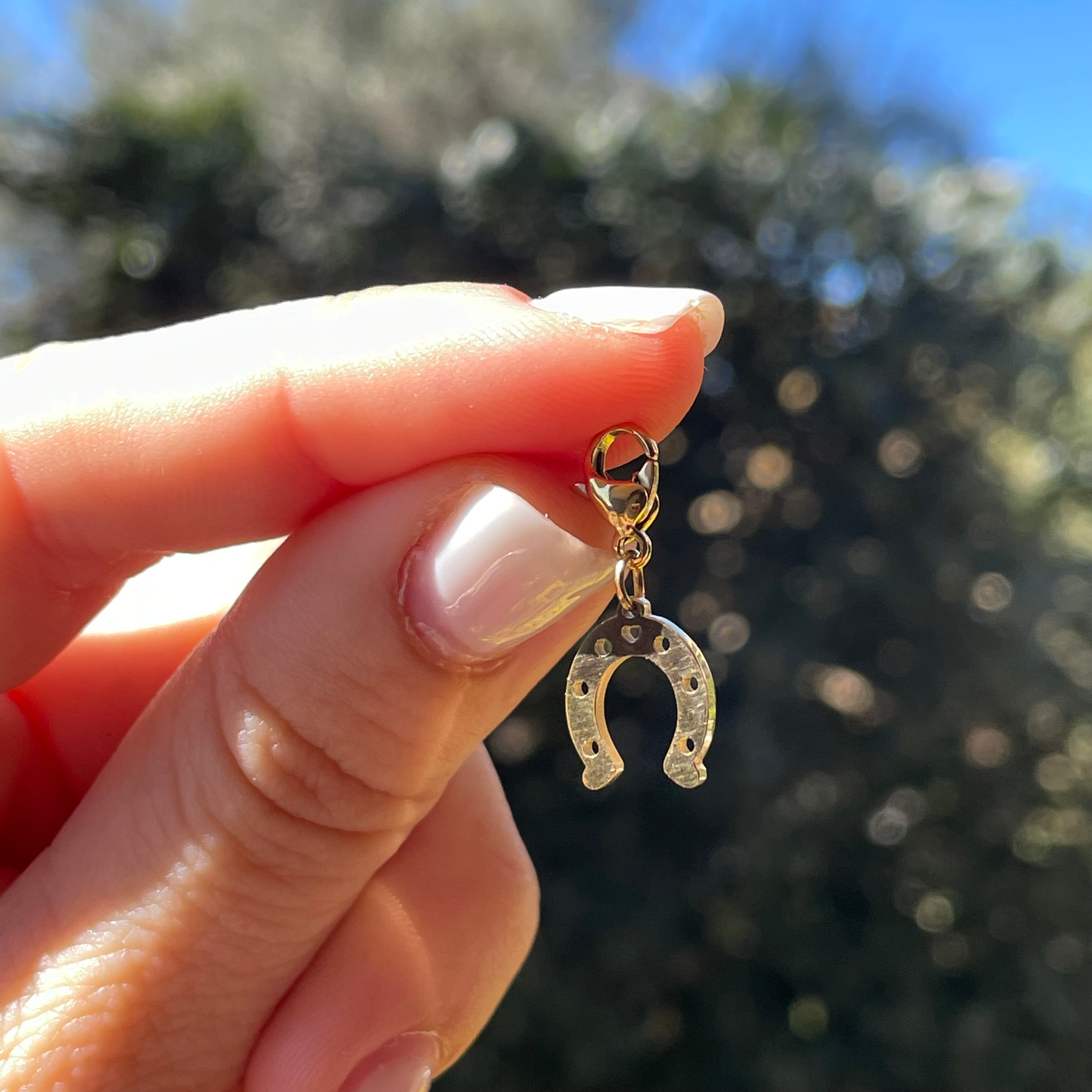Charm Ferro di Cavallo in 2 colori