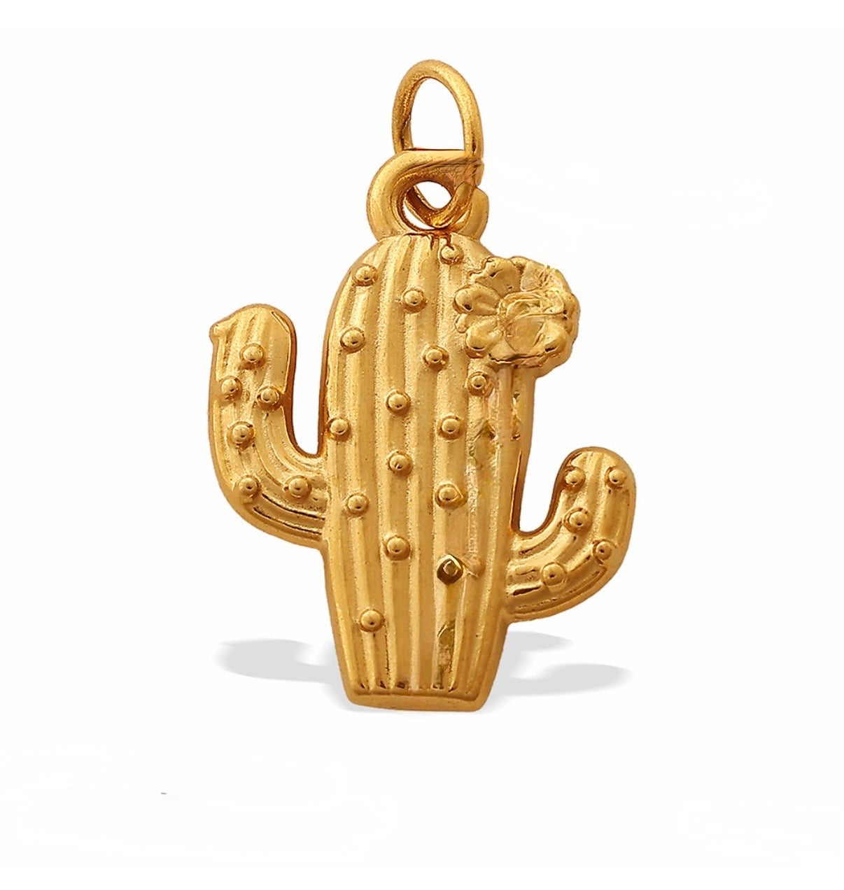 Charm Cactus