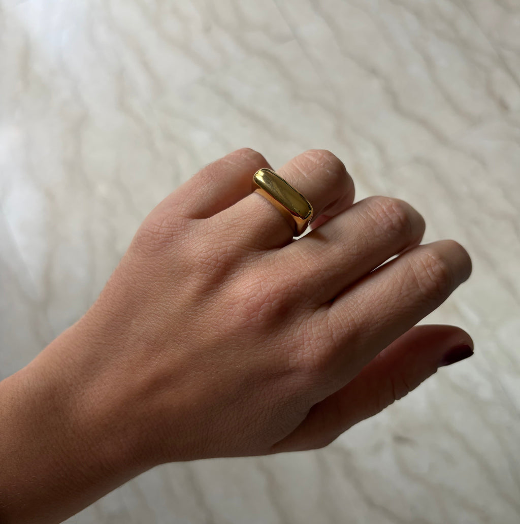 Anello piatto in 2 colori