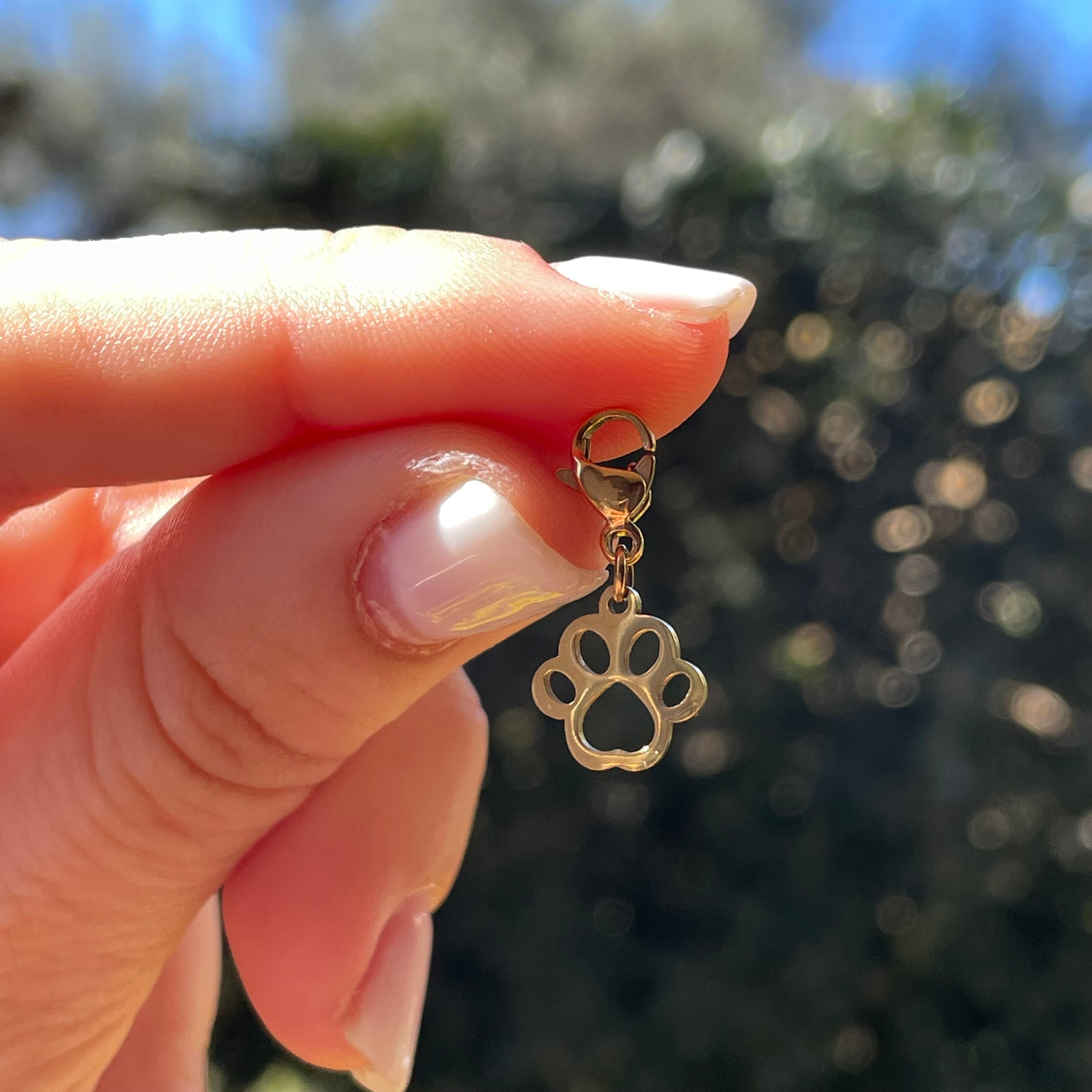 Charm Zampetta in 2 colori