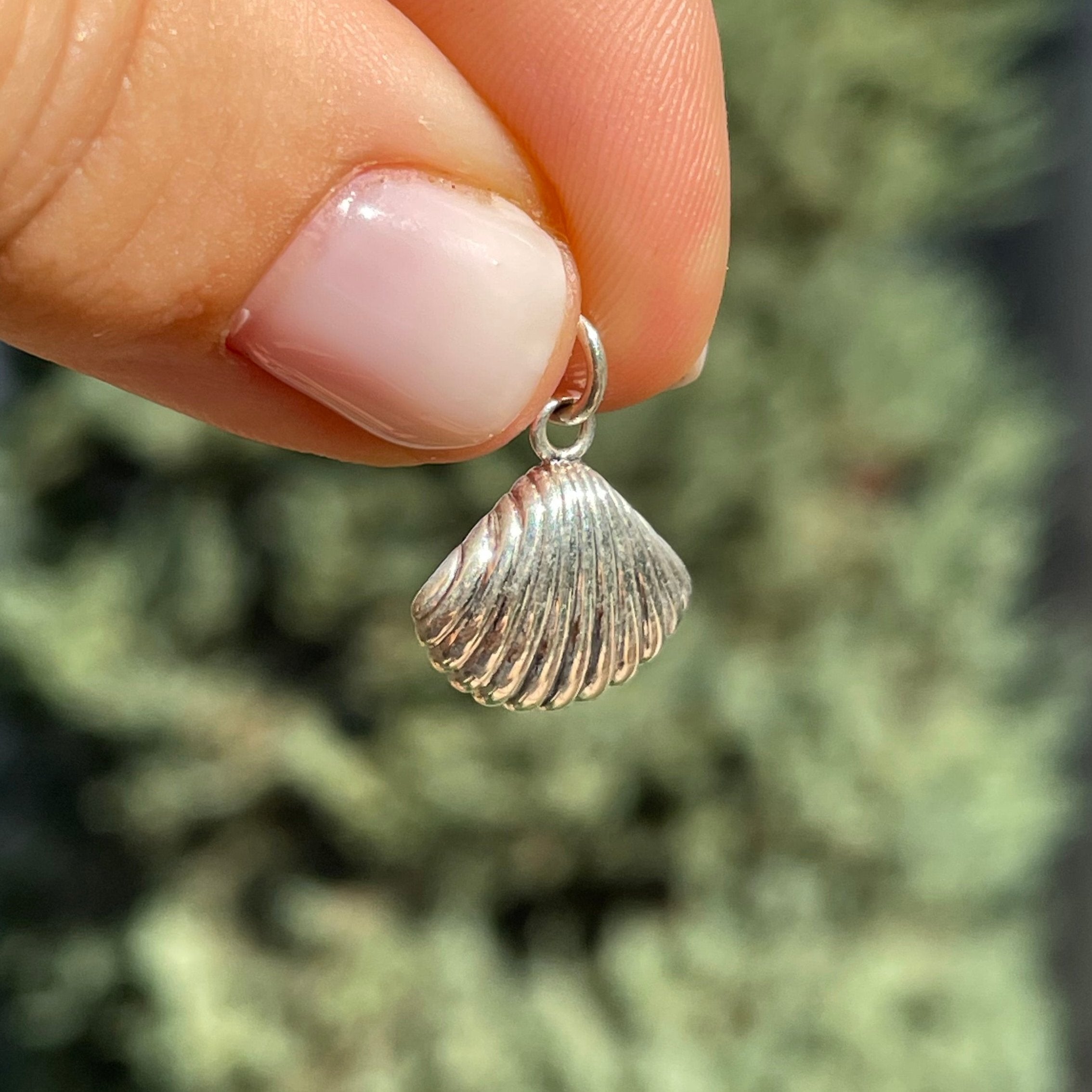 Charm Conchiglia