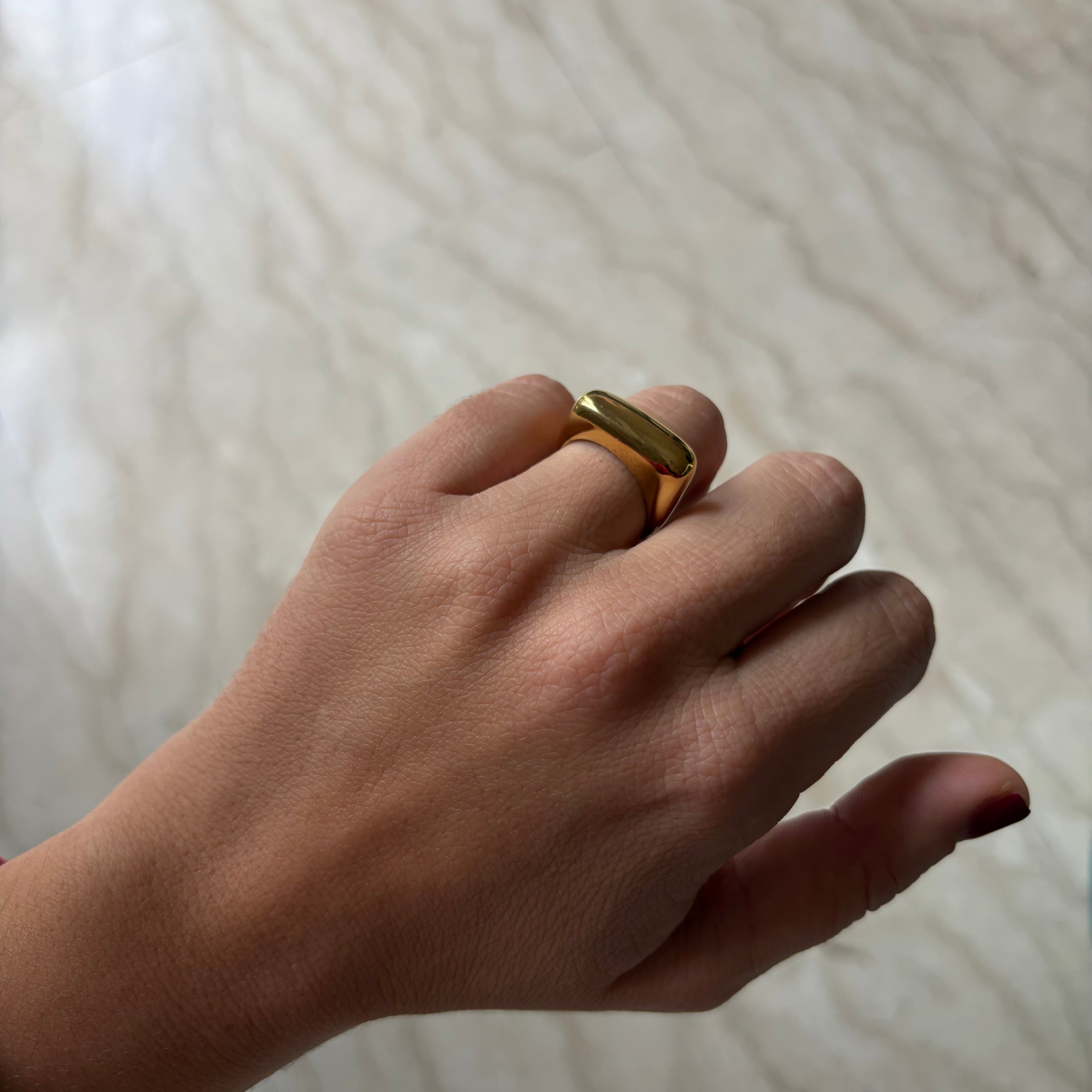 Anello piatto in 2 colori