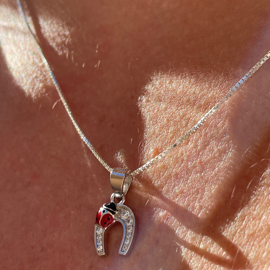 Collana con ferro di cavallo e coccinella