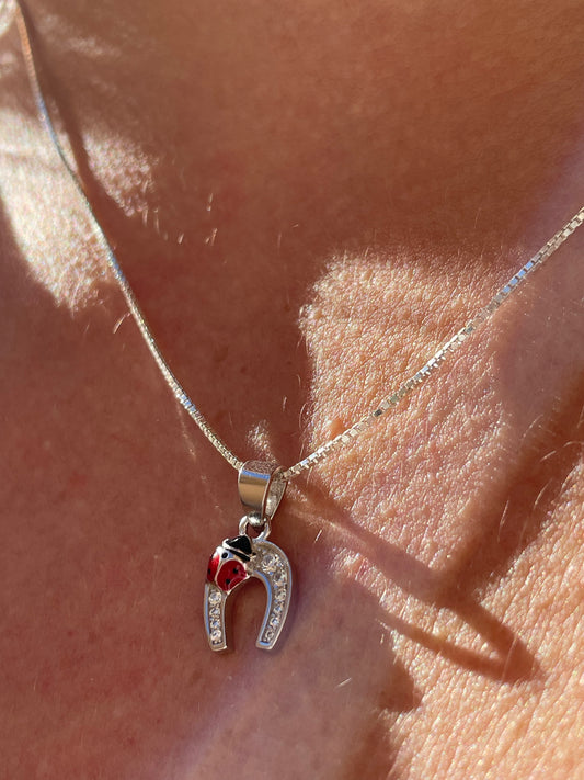 Collana con ferro di cavallo e coccinella