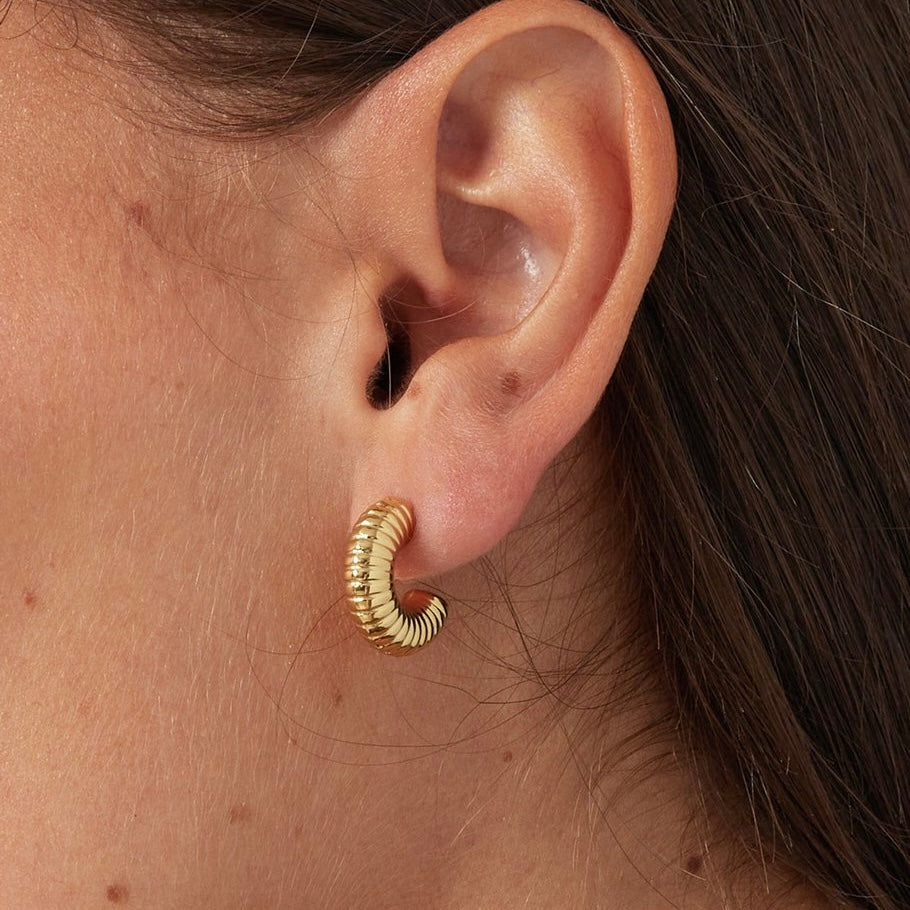 Orecchini Linee in 2 colori