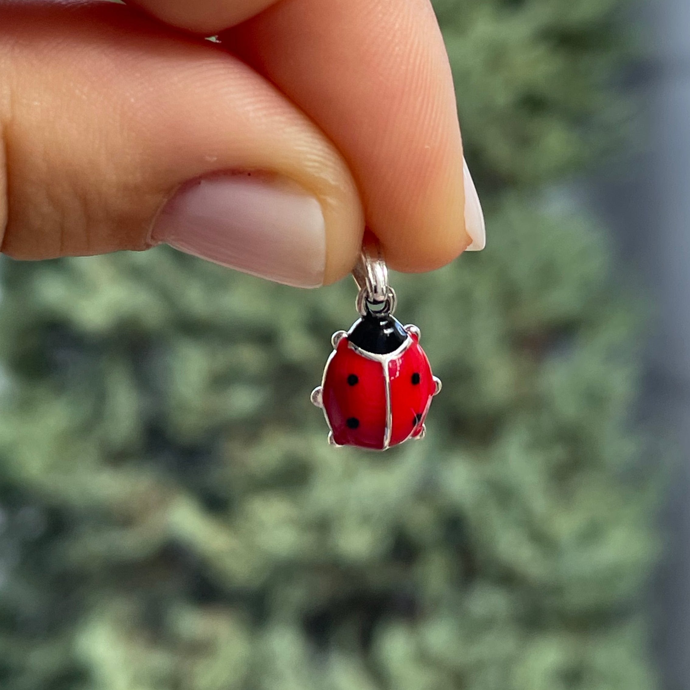 Charm Coccinella grande