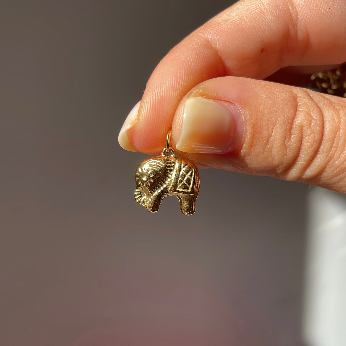 Charm elefante thai