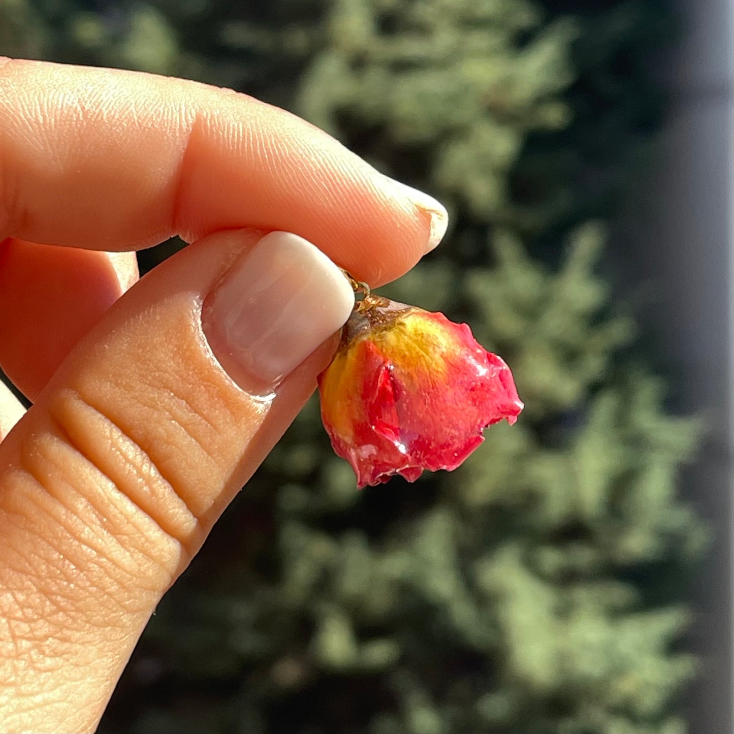 Charm Bocciolo di rosa vera
