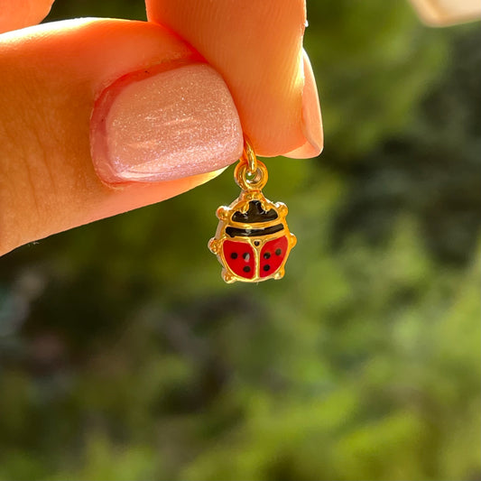 Charm coccinella in 2 colori