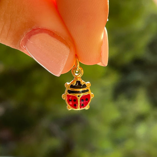 Charm coccinella in 2 colori