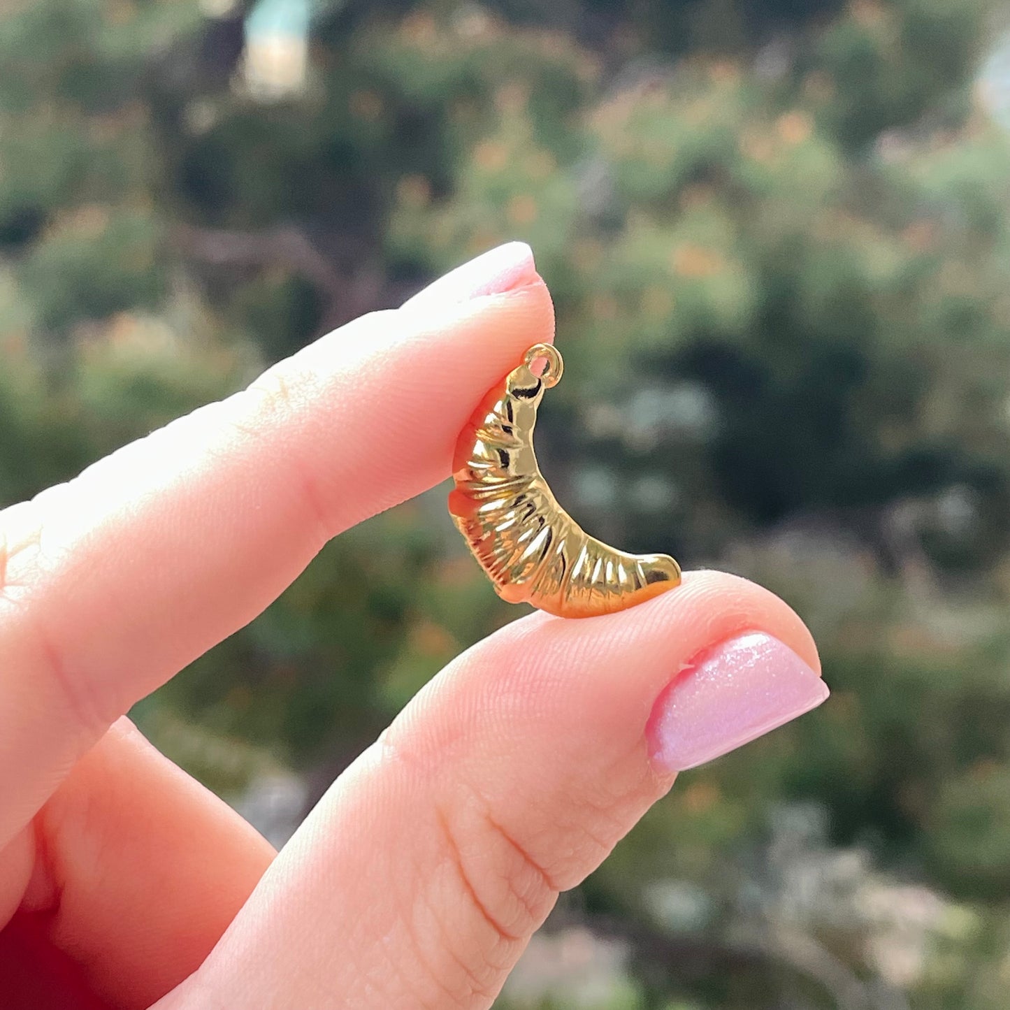 Charm Croissant
