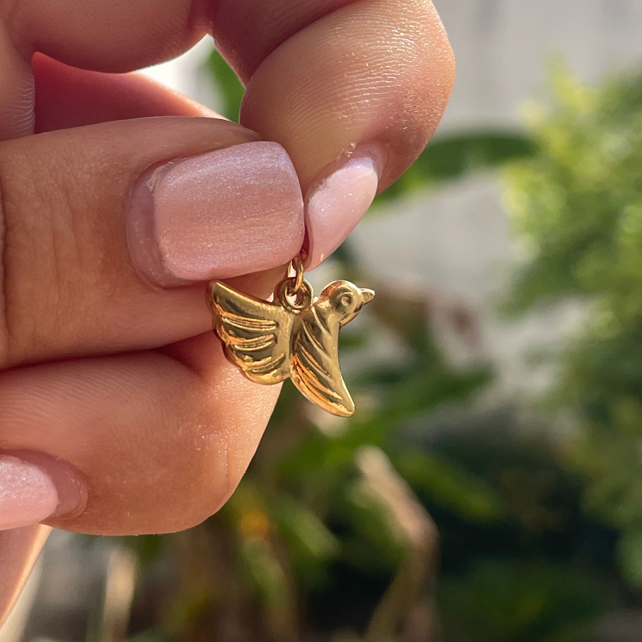 Charm colibrì