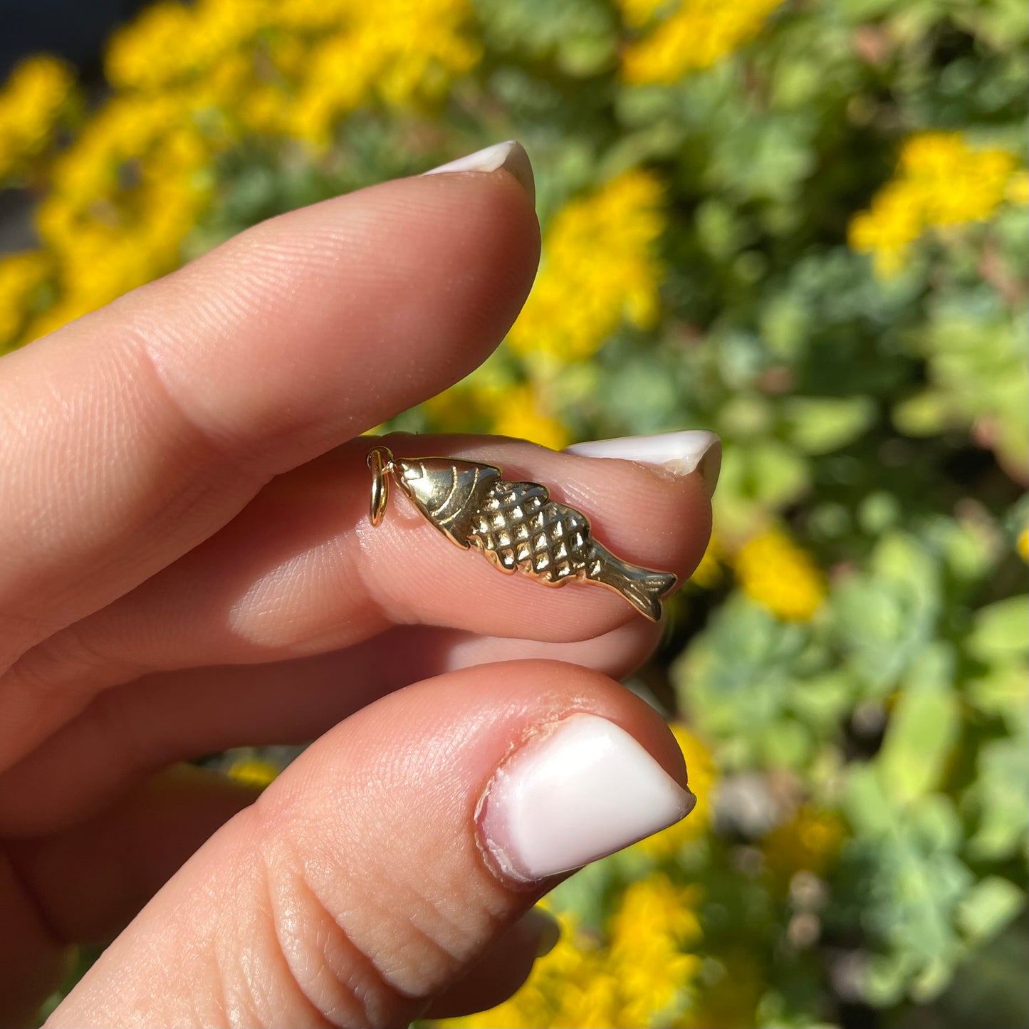 Charm pesce