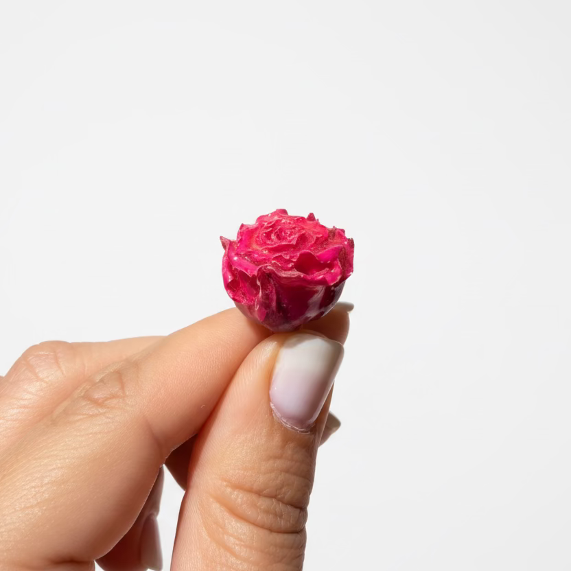 Charm Rosa eterna rosa