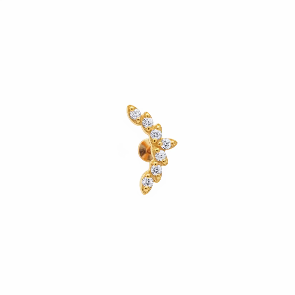Piercing rampicante