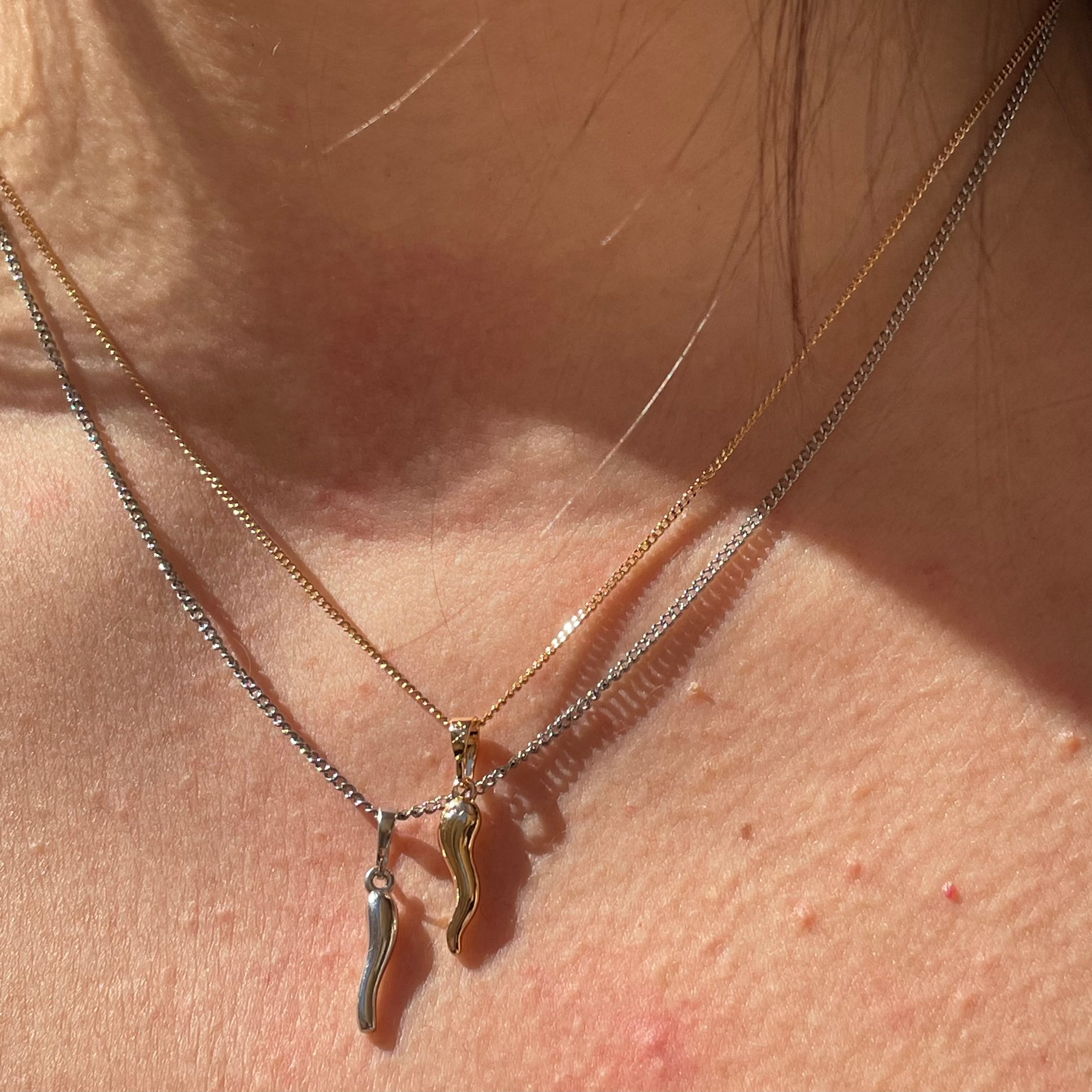 Collana con corno portafortuna in 2 colori
