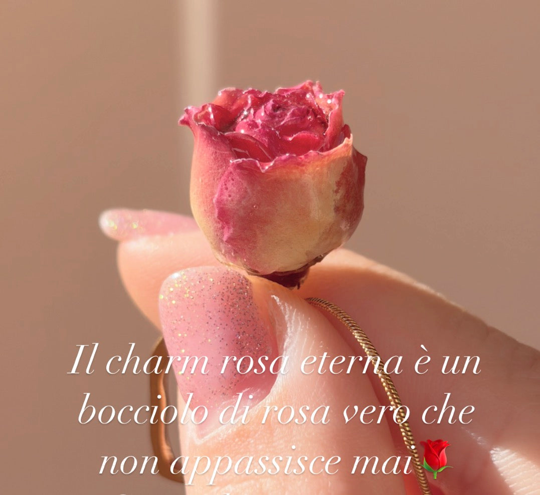 Charm Rosa eterna