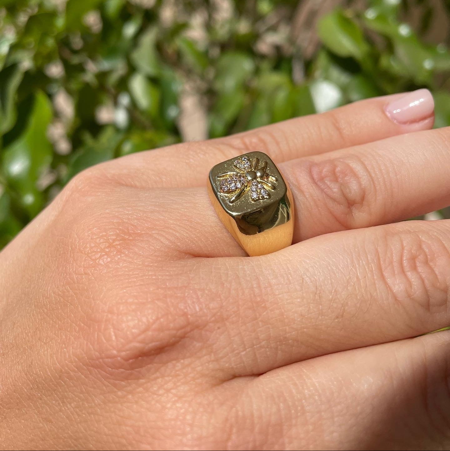 Anello ape